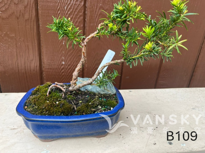 250920112652_B109 30 - 25-08.JPG